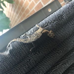 Meet your Posher, Alejandro